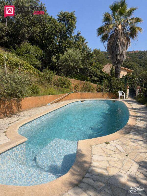 Maison à Anthéor avec vue mer, piscine et deux logements indépendants - photo 2