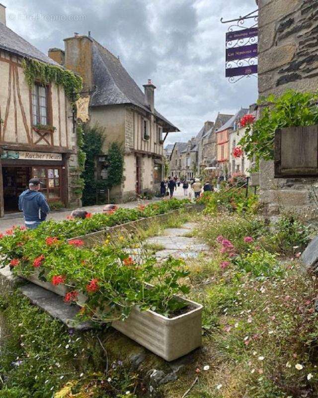 Maison à ROCHEFORT-EN-TERRE