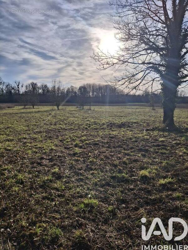 Photo 1 - Terrain à VIAPRES-LE-PETIT