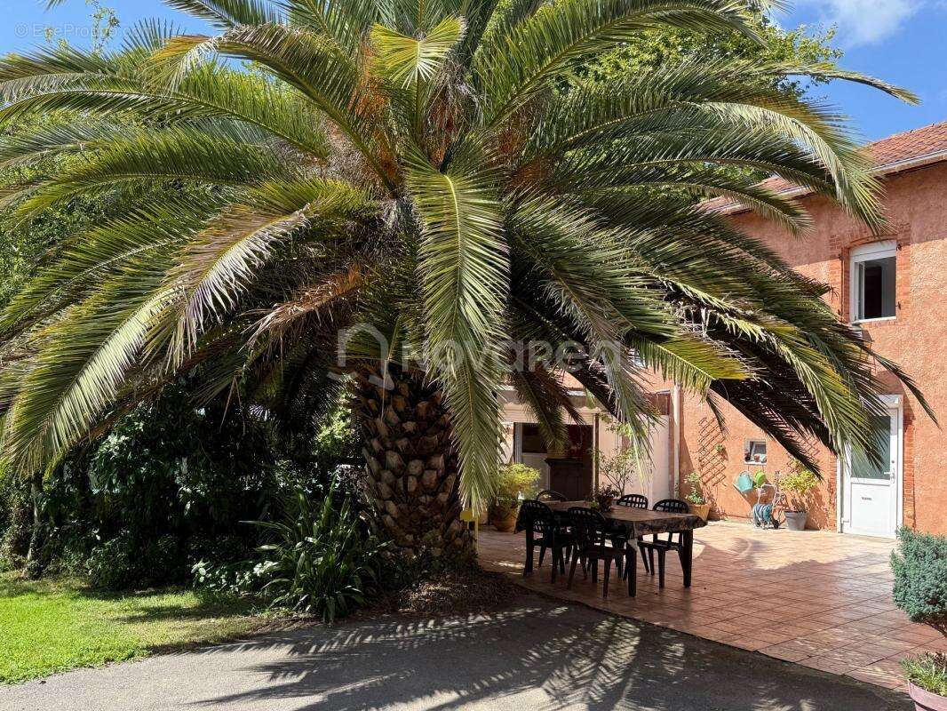 Maison à SAUBRIGUES