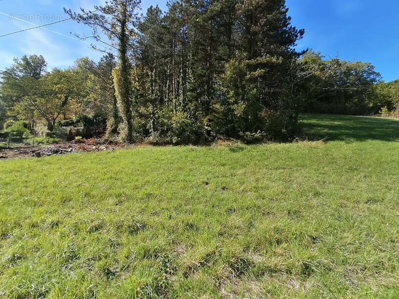Terrain à MALAUSE
