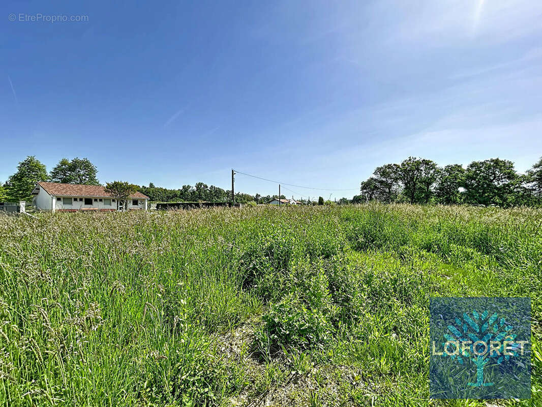 Terrain à SAUGNAC-ET-CAMBRAN