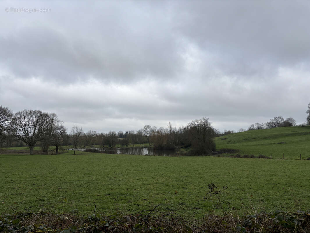 Terrain à ESSAY