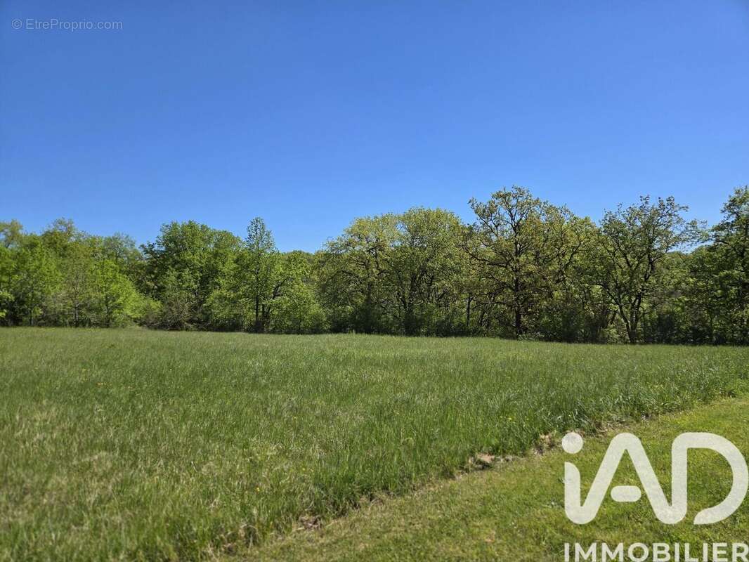 Photo 2 - Terrain à BETAILLE