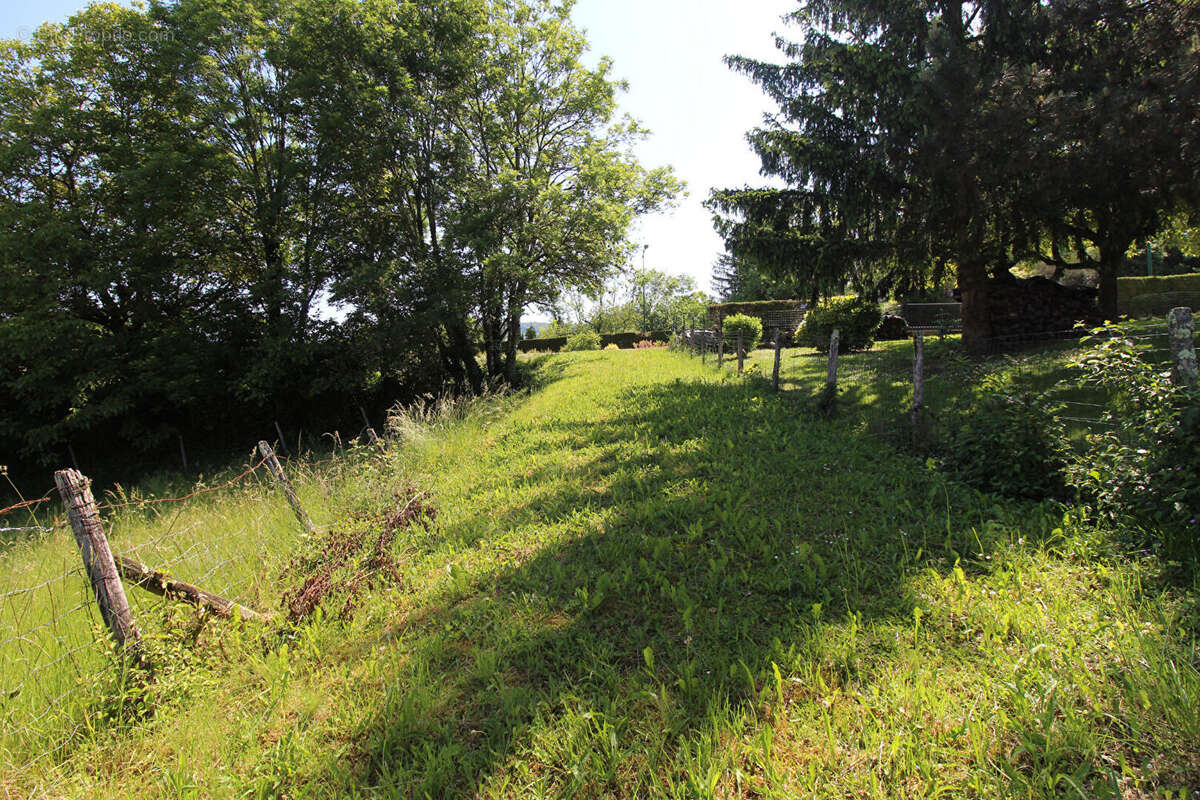 Terrain à SAINT-AMOUR