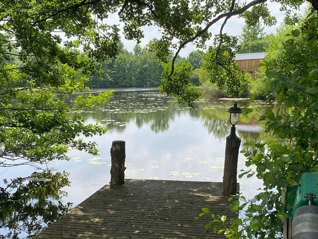 Terrain à SAINT-FLORENT-DES-BOIS