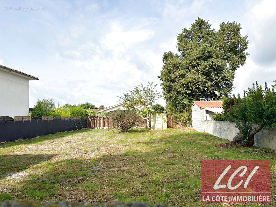 Terrain à BISCARROSSE