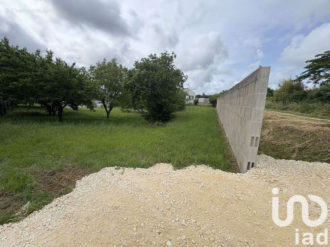 Photo 4 - Terrain à SAINT-AGNANT