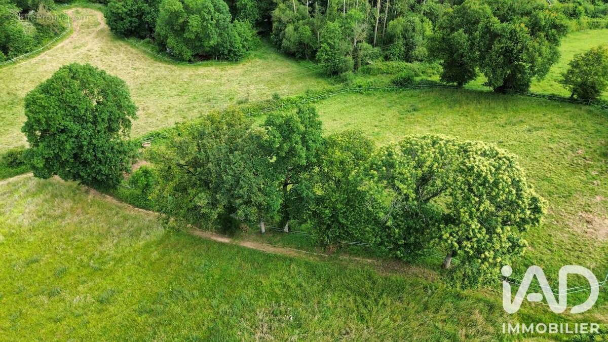 Terrain 26921 m² à Guitte  - photo 3