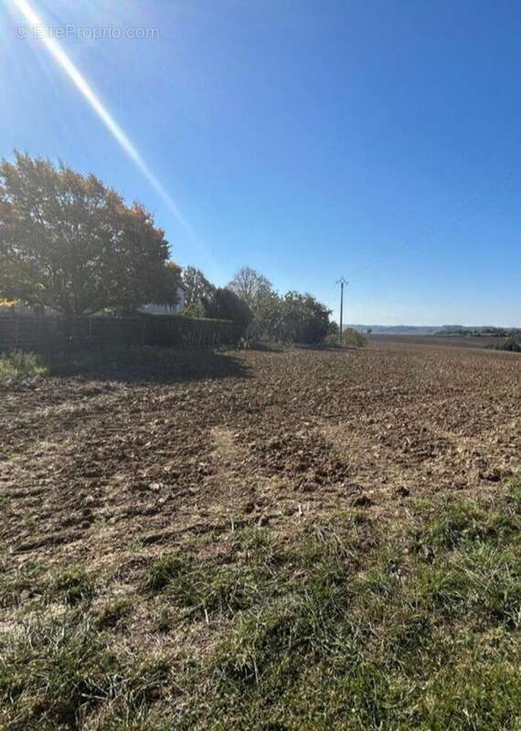 Photo 3 - Terrain à SAINT-LEON