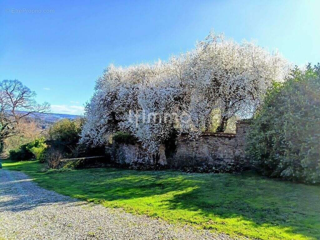 Belle propriété Bourgeoise - photo 29