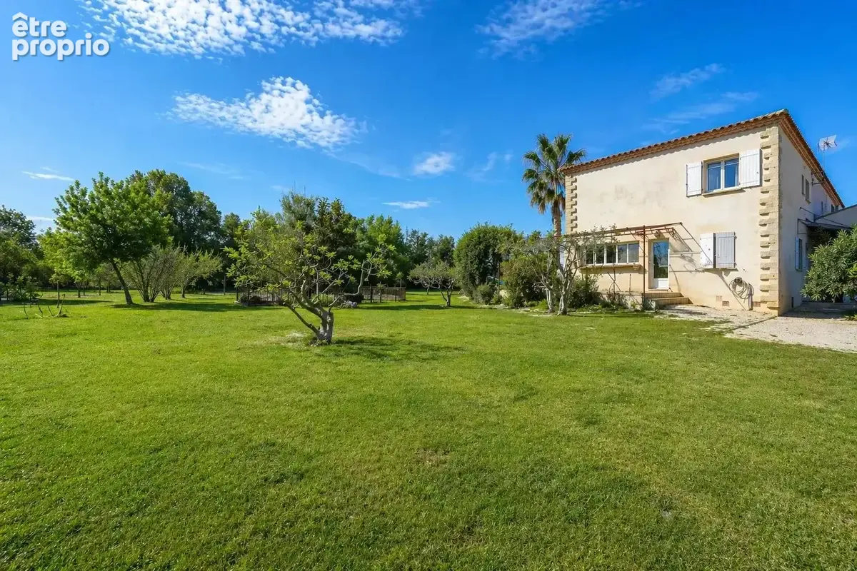 Domaine équestre camarguais - photo 27