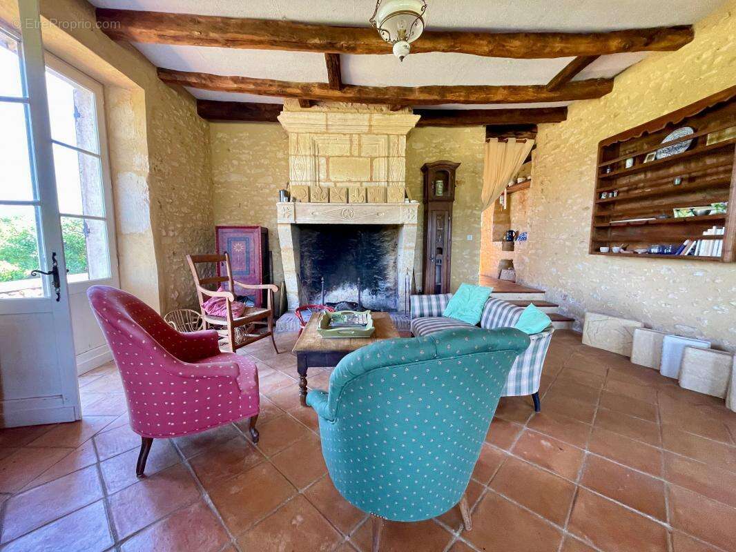 Maison à LE BUISSON-DE-CADOUIN