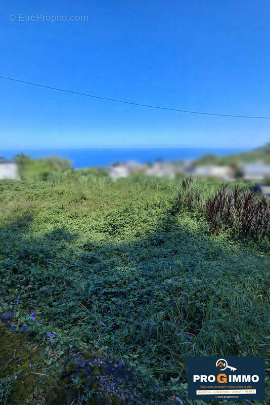 Terrain à PETITE-ILE