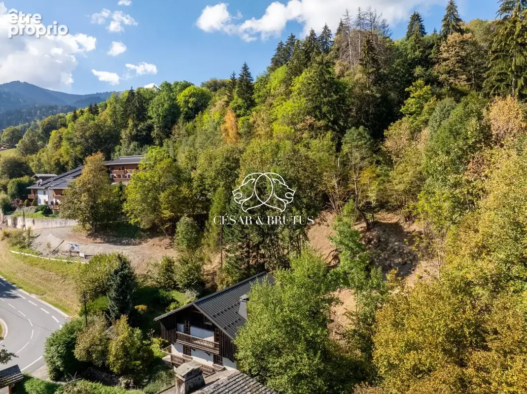 Terrain 1 065 m² à vendre à Saint-Gervais-Les-Bains (74170) - photo 8