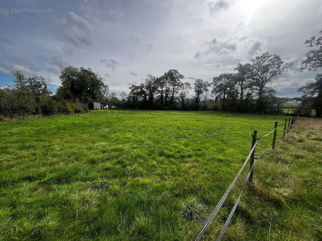 Terrain à ONET-LE-CHATEAU