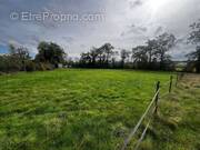 Terrain à ONET-LE-CHATEAU