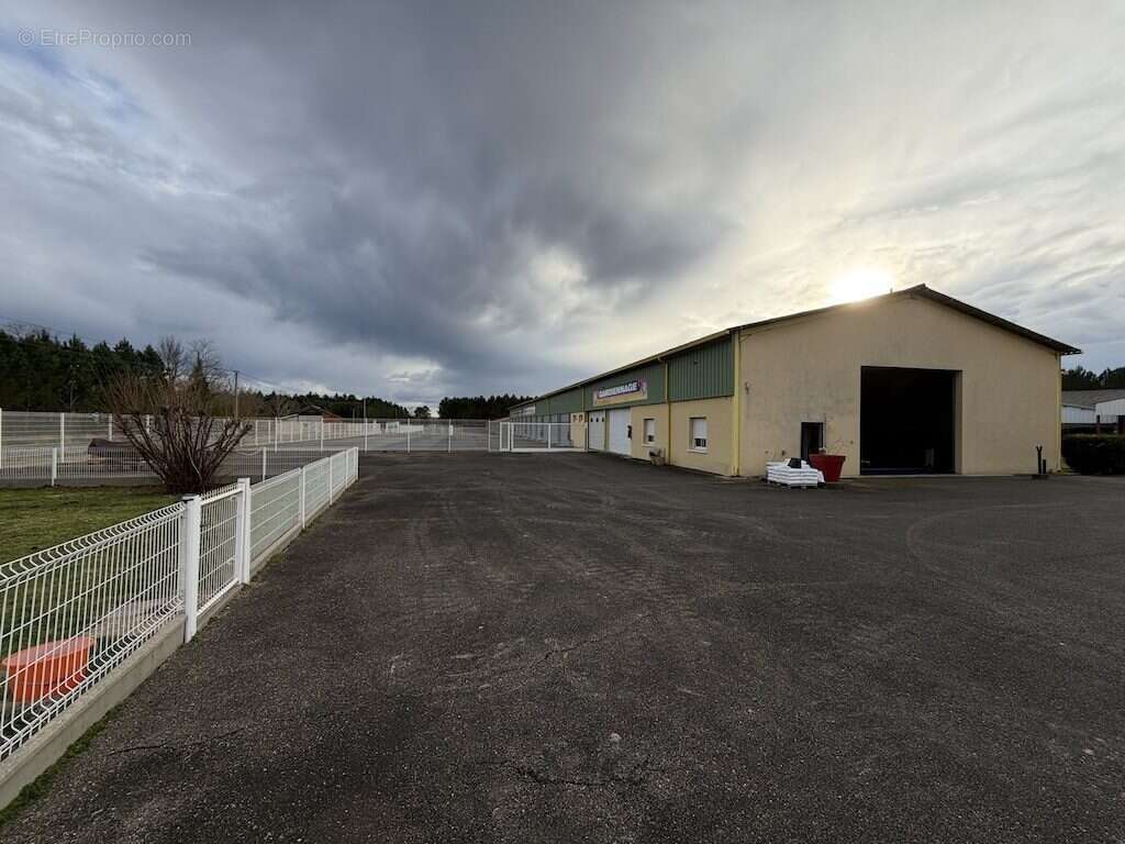 Commerce à SAINT-JULIEN-EN-BORN