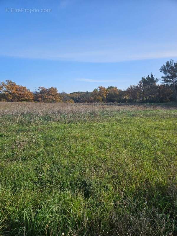 Terrain 990 m² à Peynier  - photo 4