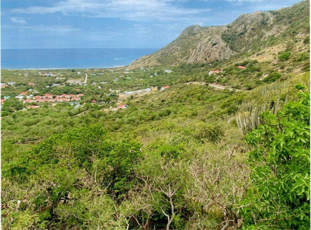 Terrain à CAPESTERRE-BELLE-EAU