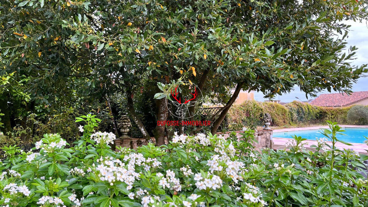 Ancien manoir historique : un lieu rare au coeur du Lot-et-Garonne - photo 5