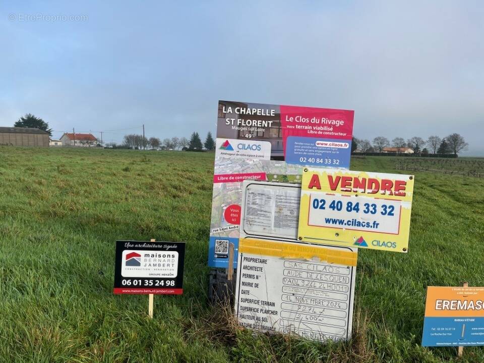 Terrain à LA CHAPELLE-SAINT-FLORENT