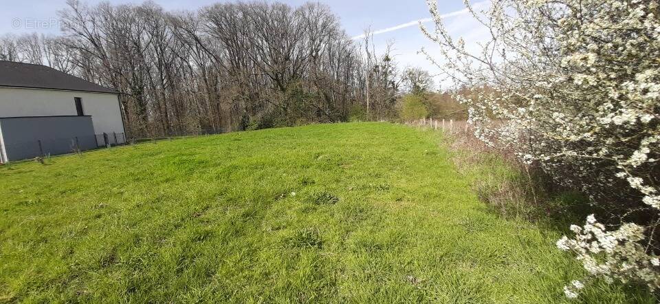 Terrain à VILLAINES-LA-GONAIS