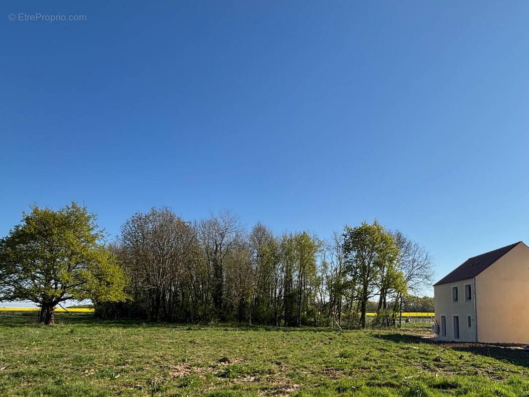 Terrain à LE CHATELET-EN-BRIE