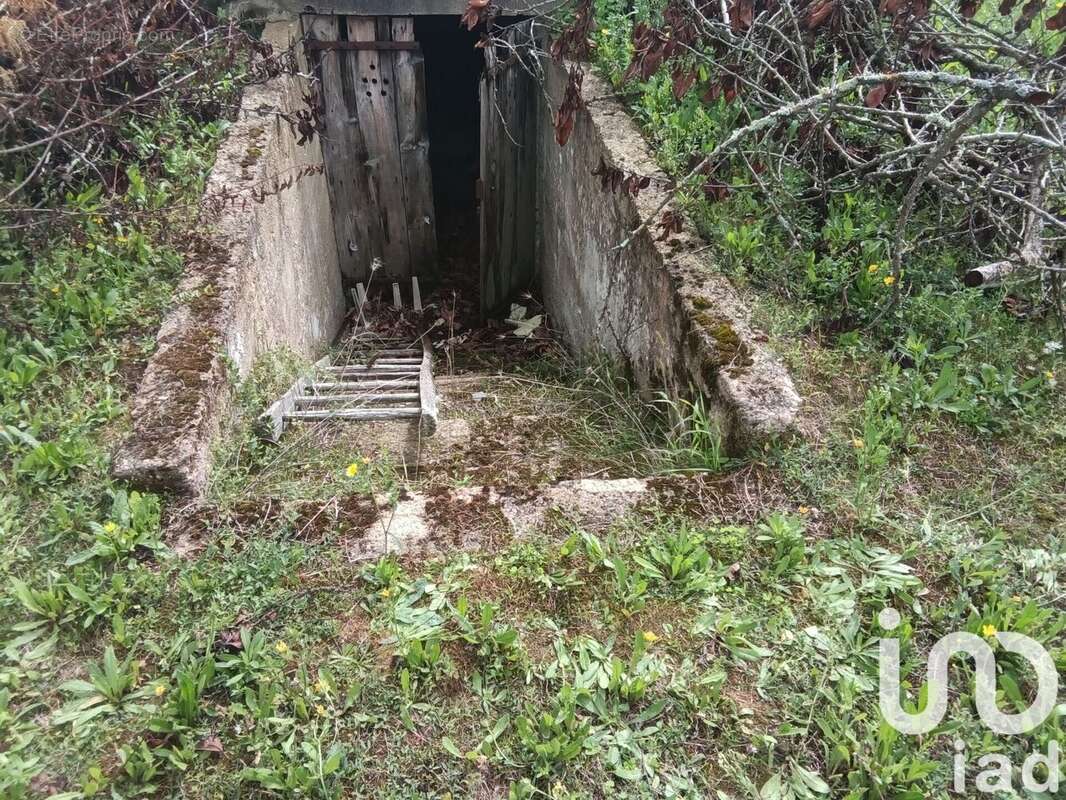 Photo 7 - Terrain à MANSIGNE