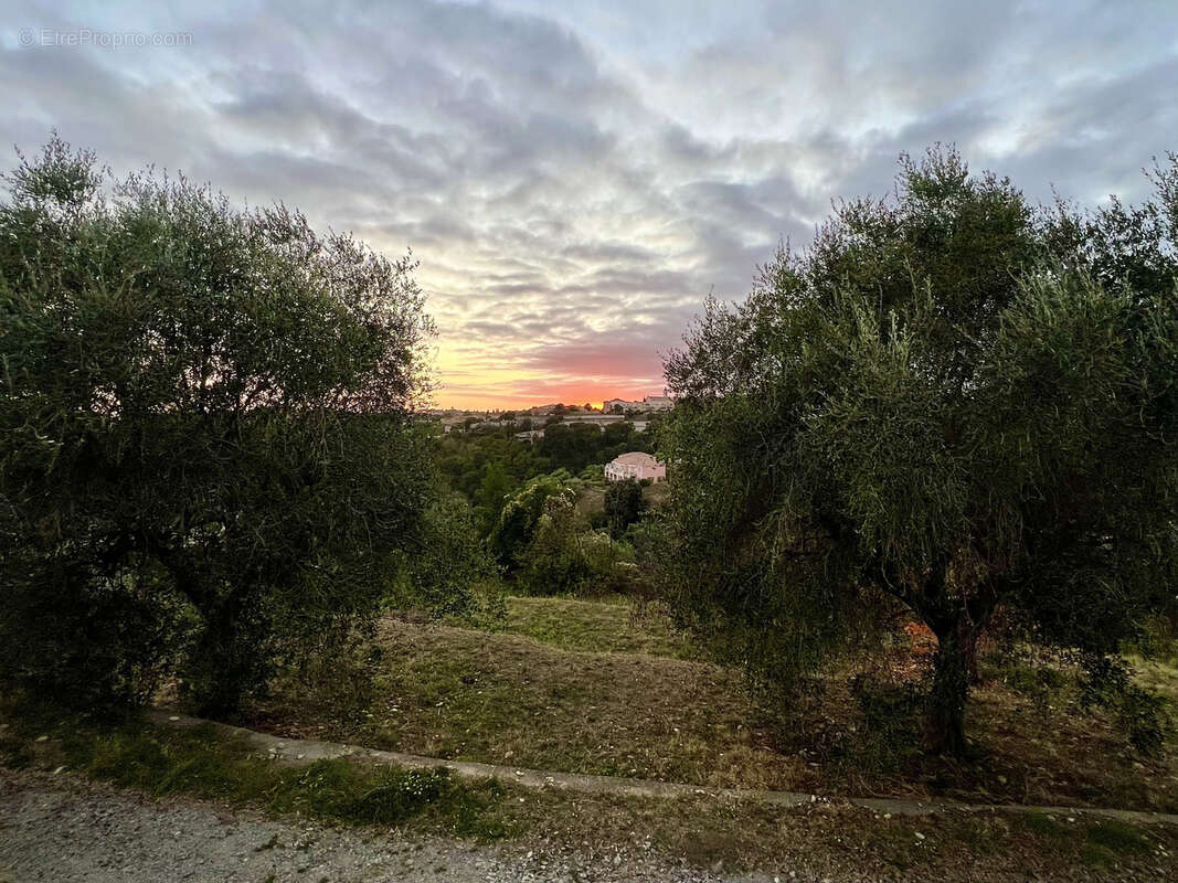 Terrain à NICE