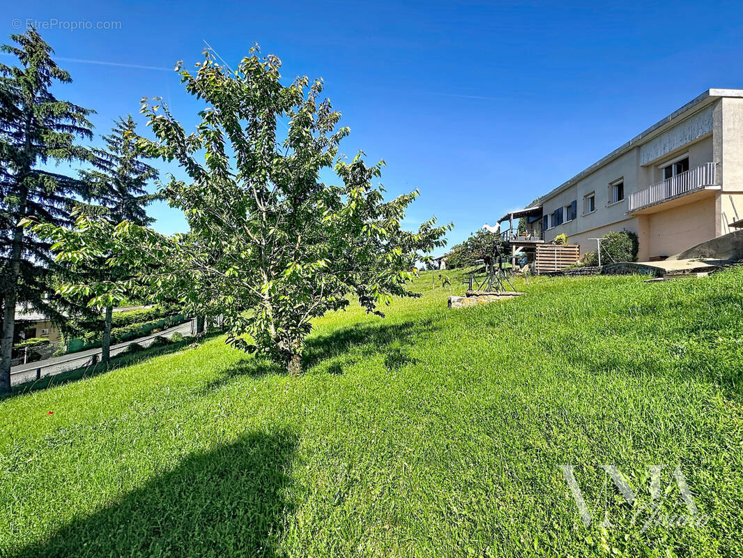TERRAIN À BÂTIR   BELMONT-D'AZERGUES (69380)   626 m2 180 000 €   Honoraires à la charge de l'acquéreur - photo 2