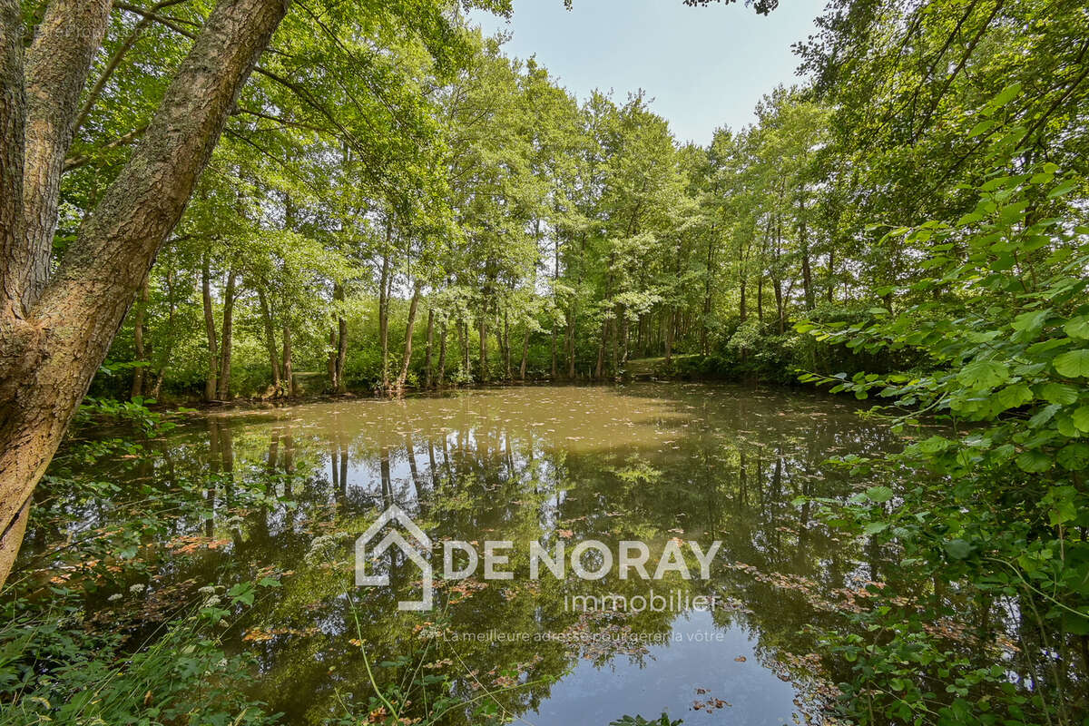 Propriété de 3 maisons + espace équestre sur 3,5 hectares - photo 9