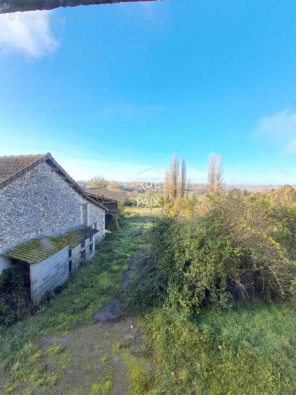 Charmante maison de campagne à Chenevelles à rénover avec + 1 ha de terrain - photo 3