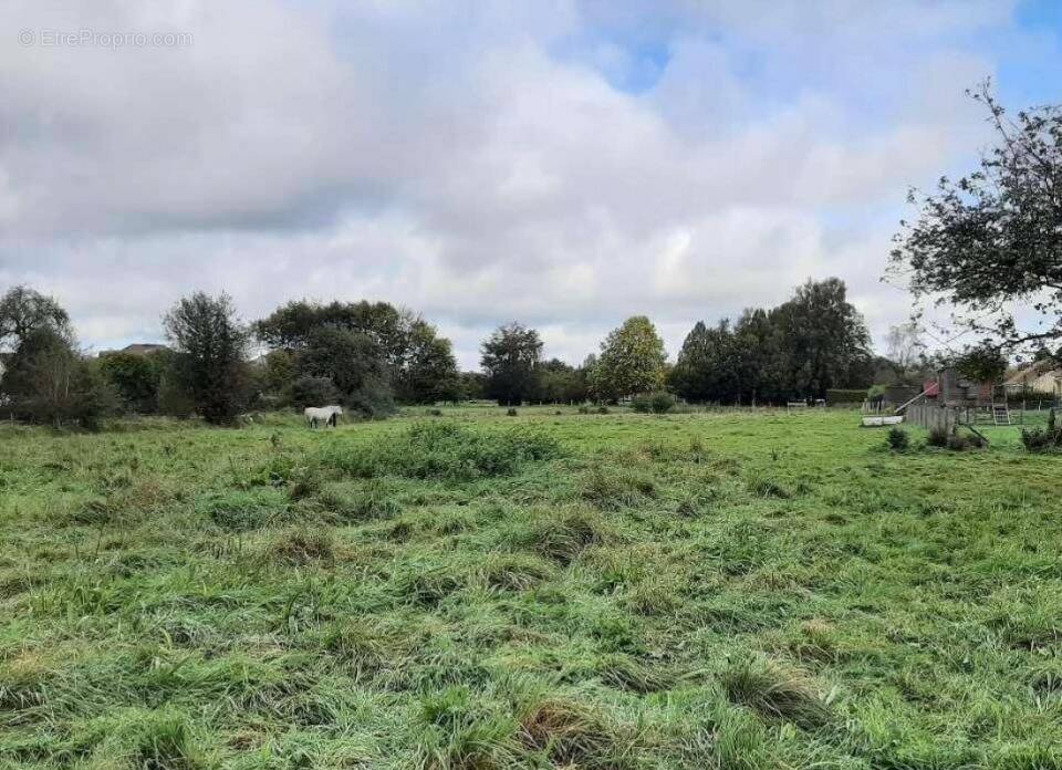 Terrain à BEUZEVILLE