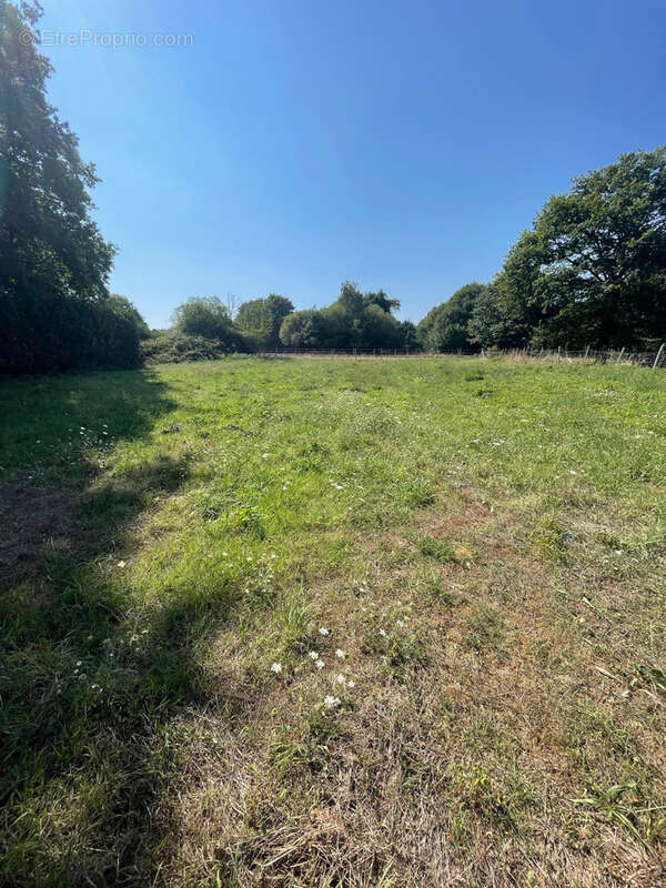 Maison à SAINTE-MARIE