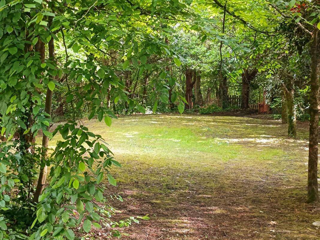 Maison à SAINT-AIGNAN-GRANDLIEU