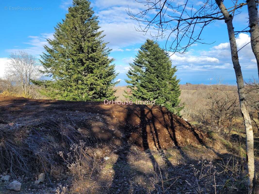 Terrain à CHARBONNIERES-LES-VARENNES