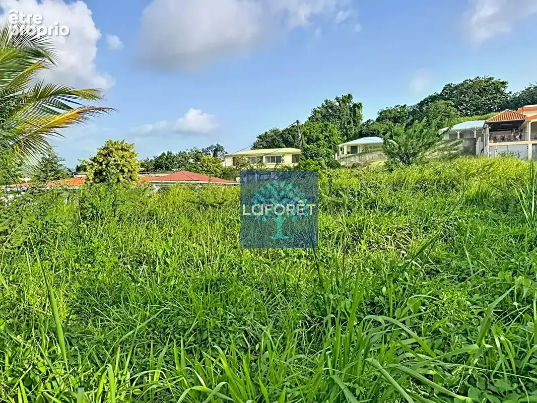 A vendre : Terrain constructible de 1 694 m² environ au Lamentin - photo 2