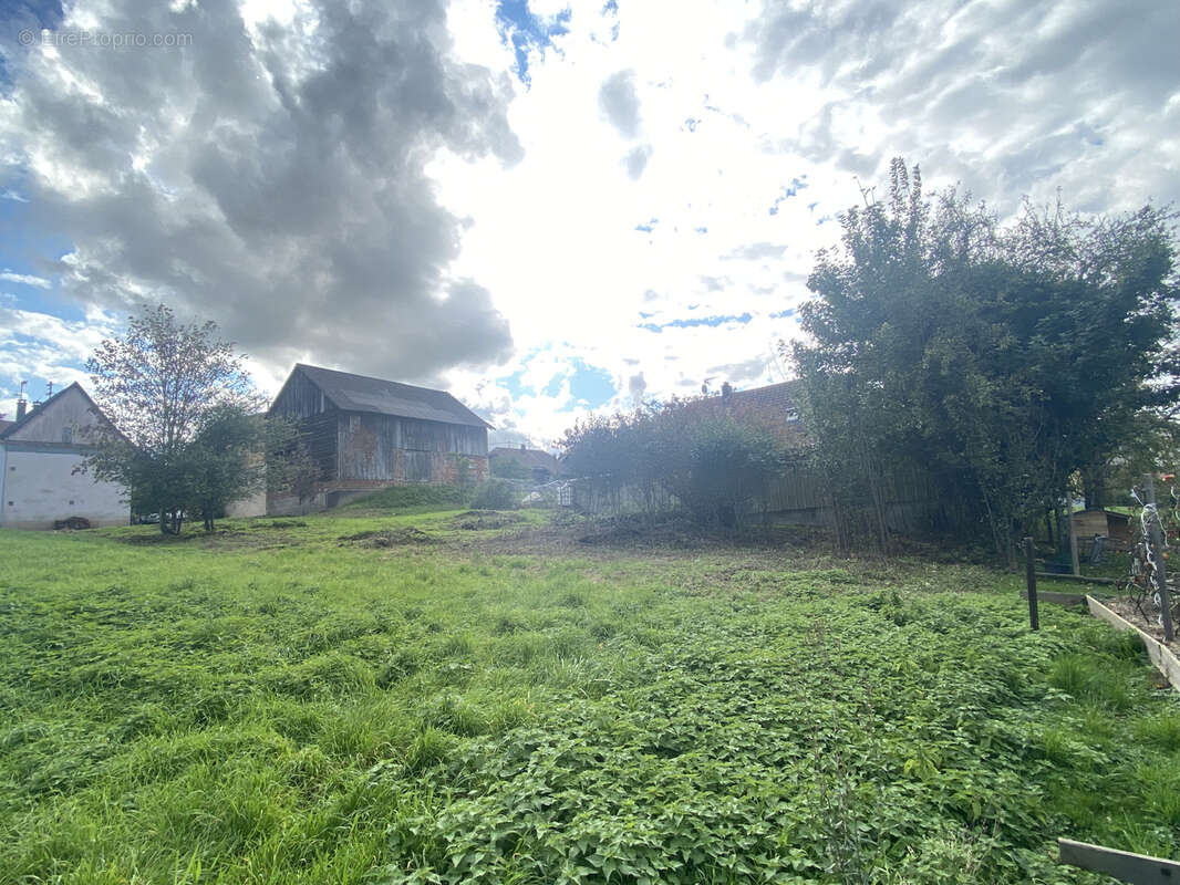 Terrain à HELFRANTZKIRCH