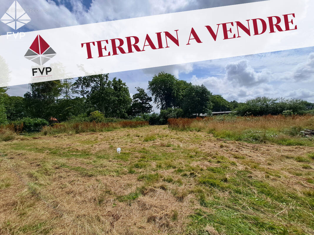 Terrain à VEULES-LES-ROSES
