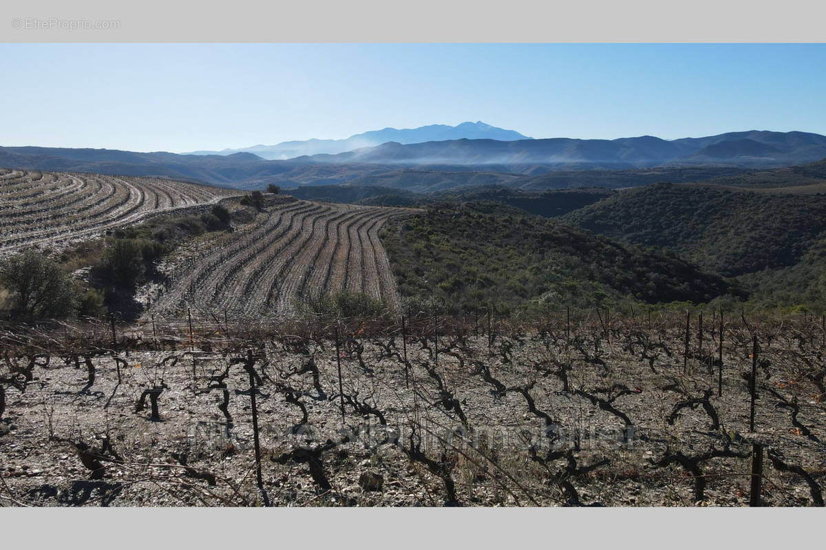 Terrain à RASIGUERES