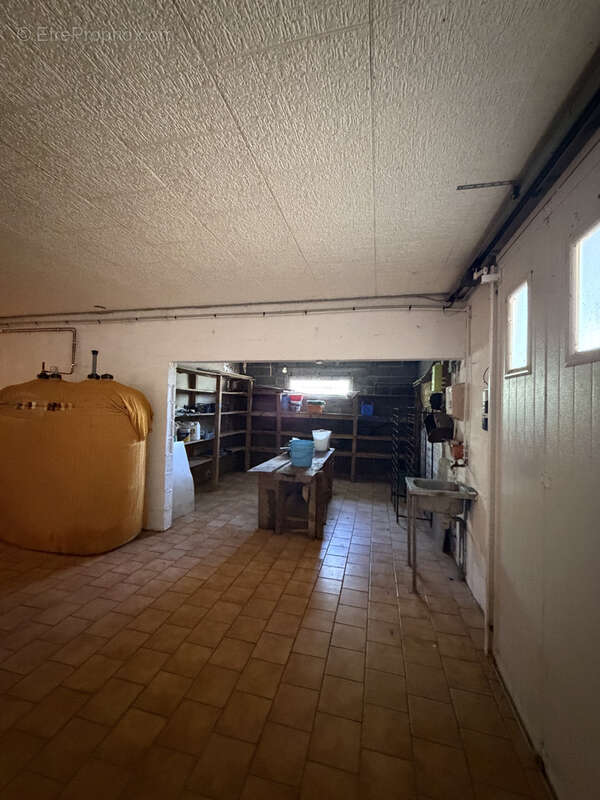 Maison plain pied 3 chambres sur sous sol + terrain agricole - photo 11