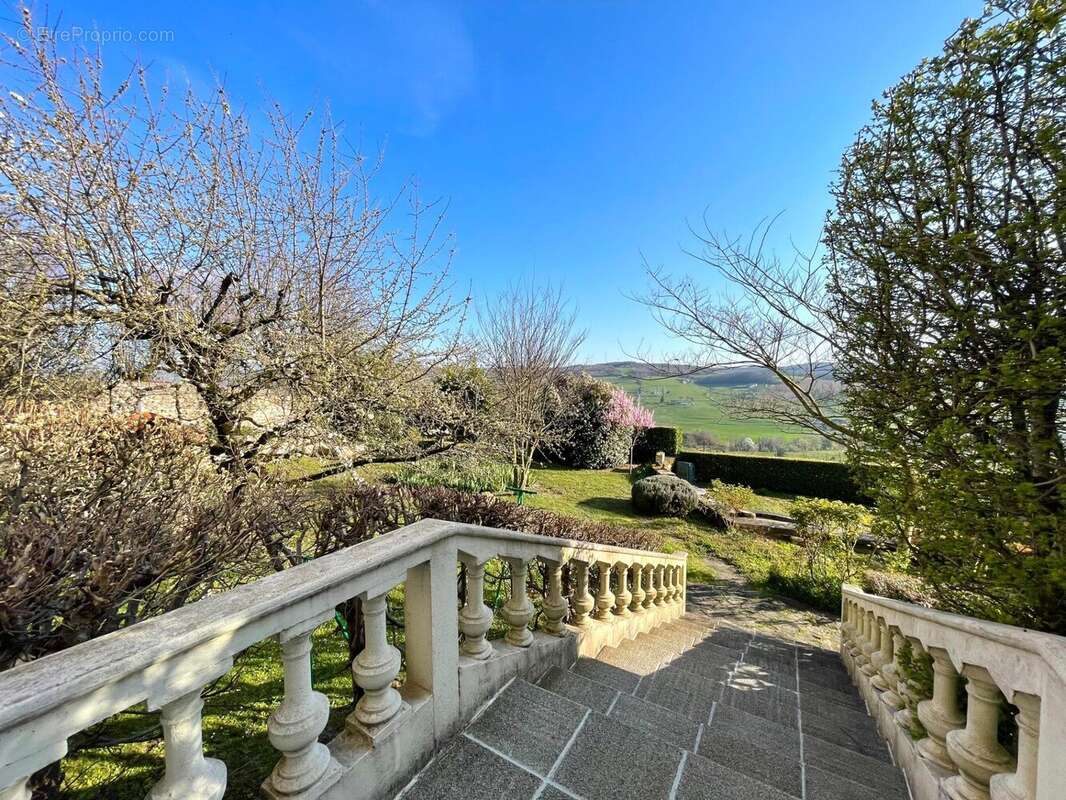 Maison 294 m² à Le Grand-Serre  - photo 5