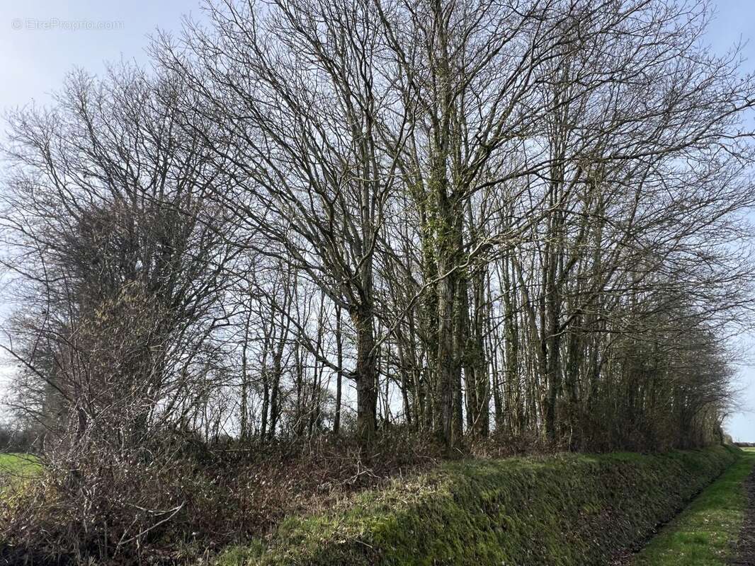 terrain de loisirs - Terrain à LA LANDE-DE-LOUGE