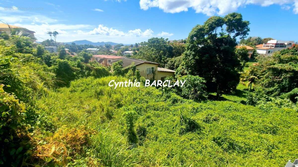 Terrain à FORT-DE-FRANCE