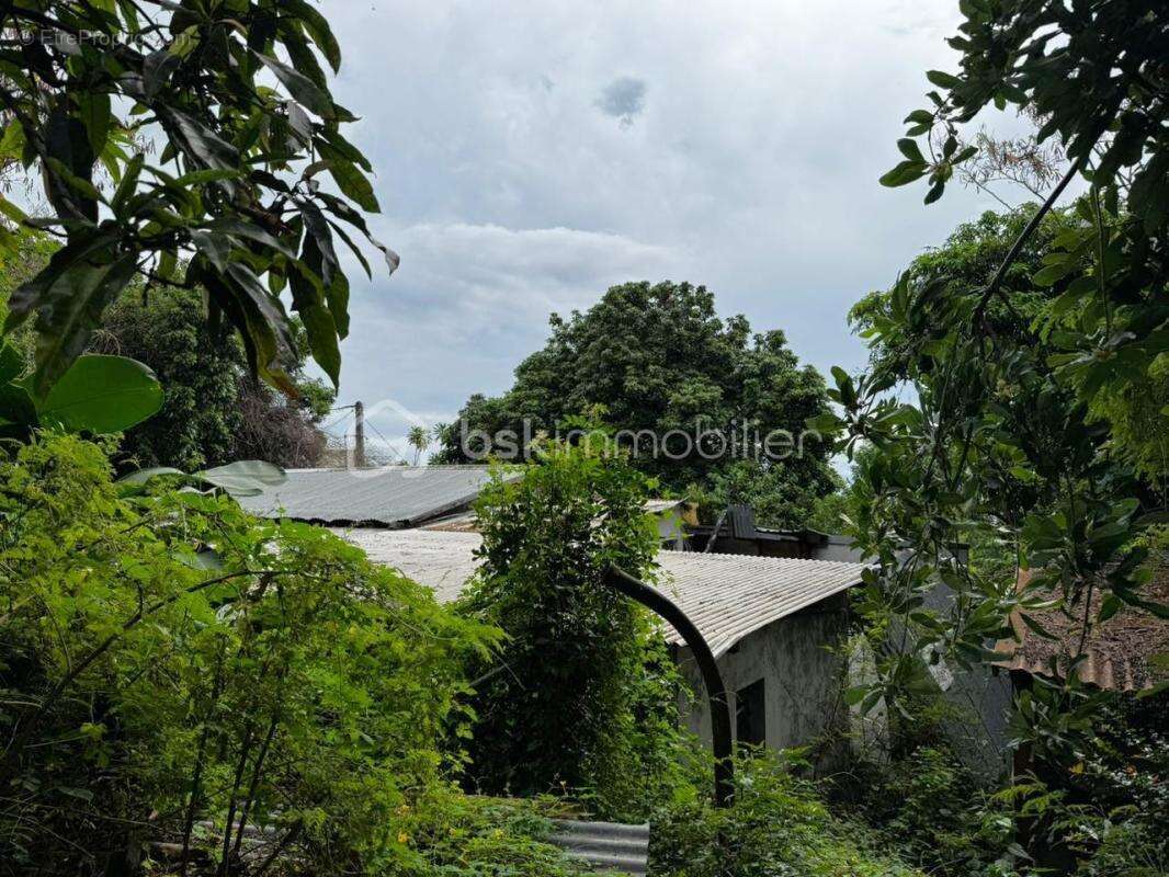 Terrain à SAINT-LEU