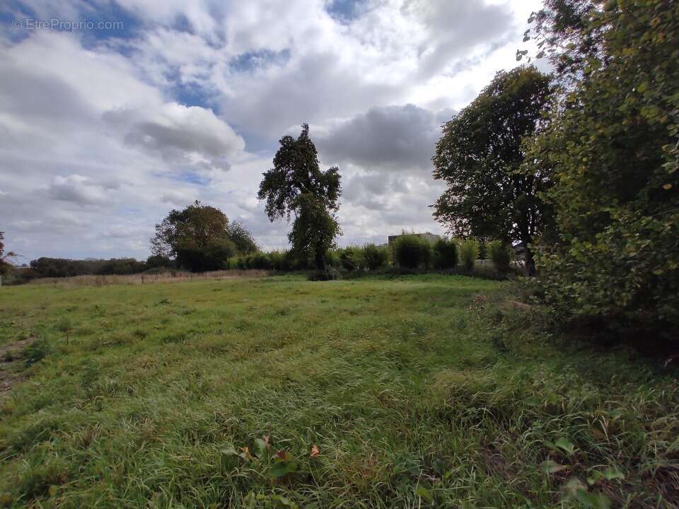 Terrain à FORT-MOVILLE