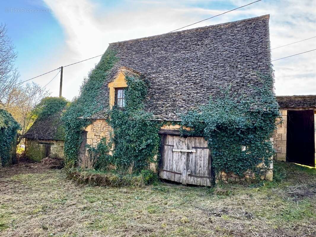 IMG_1219.jpeg - Maison à BEYNAC-ET-CAZENAC