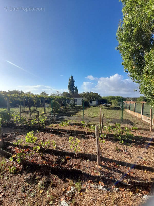 Maison à L'ILE-D'ELLE