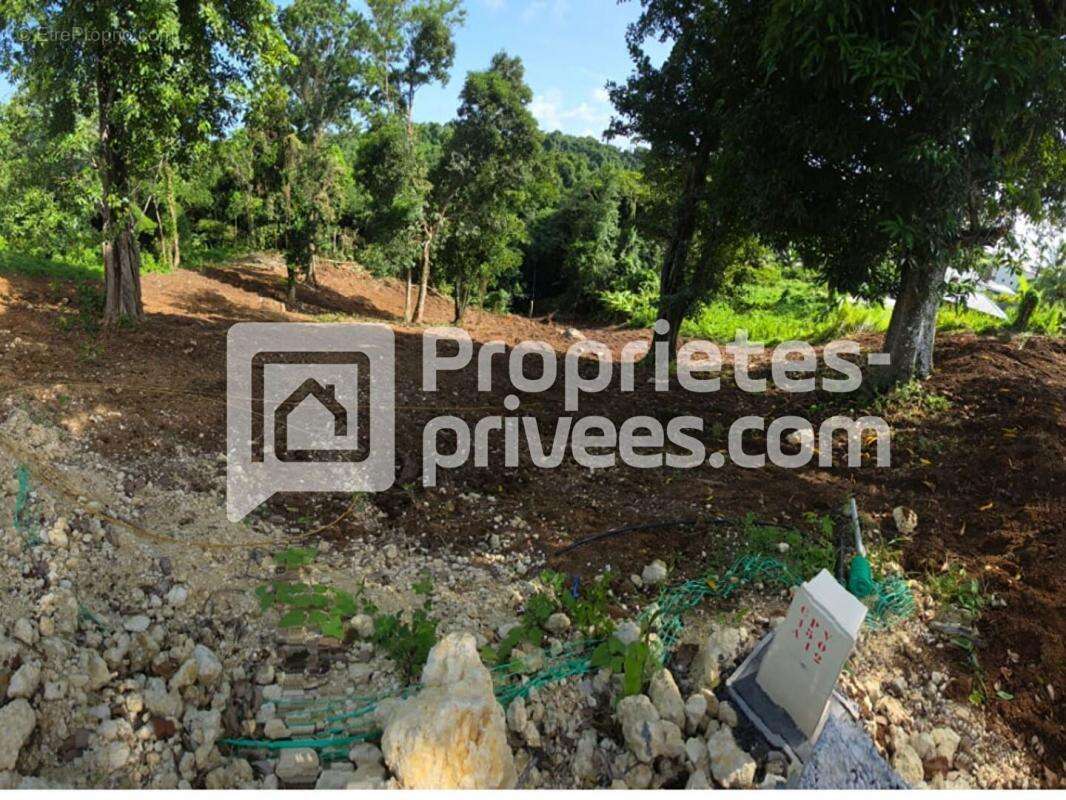 Terrain à PETIT-BOURG